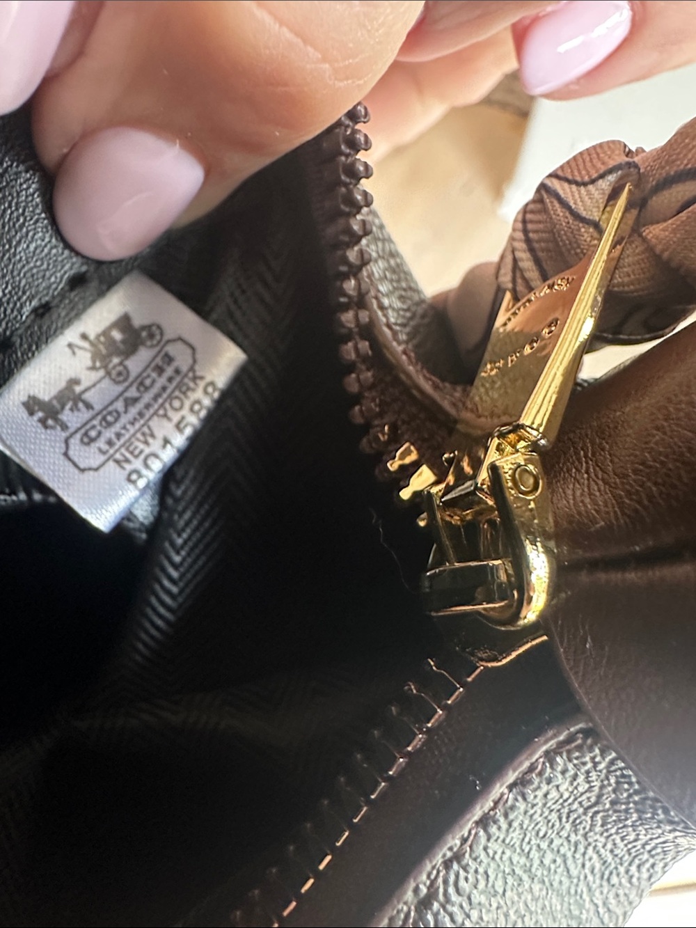Coach Dark Brown Signature Mini Hobo with Beige Scarf - Picture 6 of 9